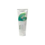 Nature Republic Fresh Herb Cleansing Foam 170 ml - SNAIL