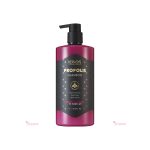 Kerasys Red Propolis Root Care Shampoo 1L